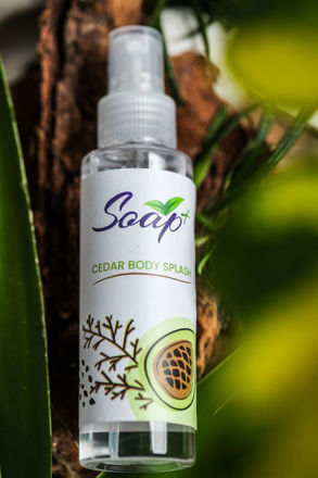 Picture of CEDAR BODY SPLASH