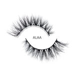 Picture of ALAA - DALAL BEAUTY X ALAA ALHABIB