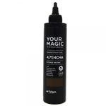 Picture of YOUR MAGIC PHYTO COLOR CREATIVITY