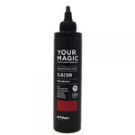 Picture of YOUR MAGIC PHYTO COLOR CREATIVITY