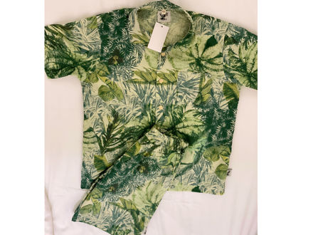 Picture of Pyjama tree tropical