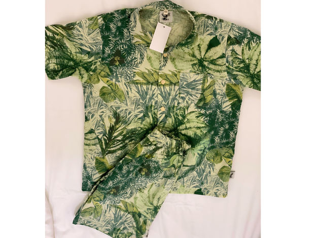 Picture of Pyjama tree tropical
