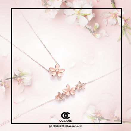 Picture of moonlight flower set