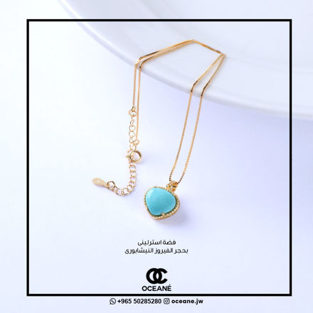 Picture of necklace
