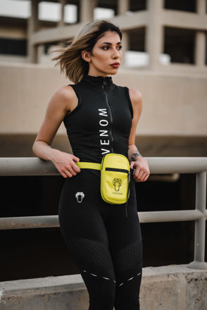 Picture of waist and thigh bag