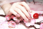 Picture of Sakura