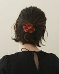 Picture of LES ATTACHANTES