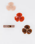 Picture of LES ATTACHANTES