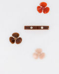 Picture of LES ATTACHANTES
